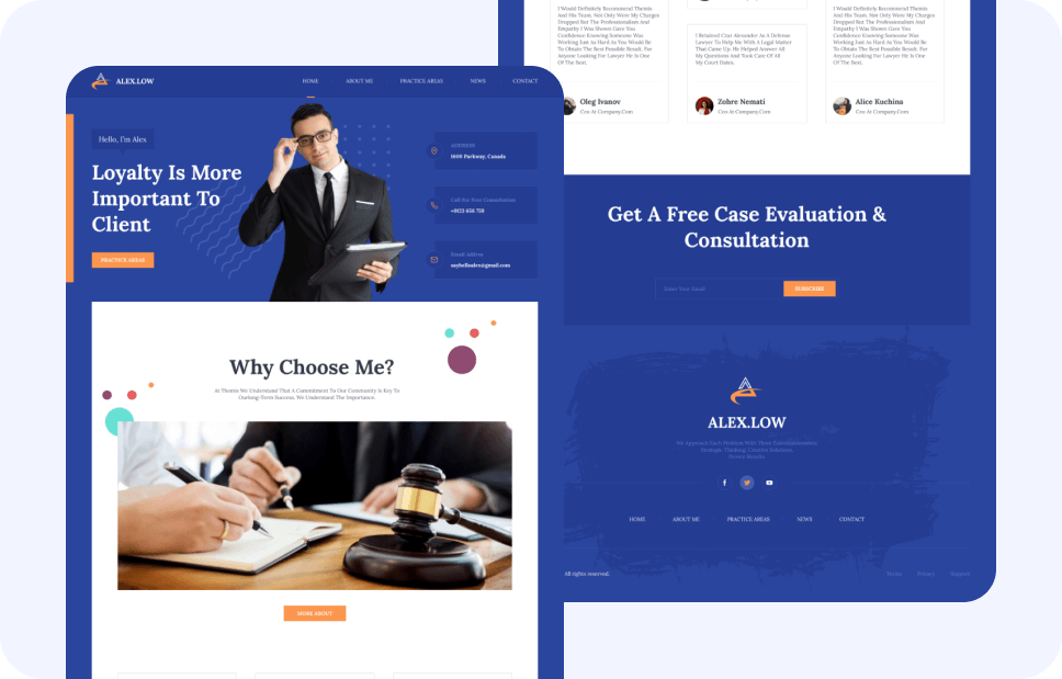 Professional Website lawyer